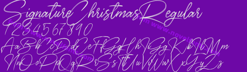 SignatureChristmasRegularPreview