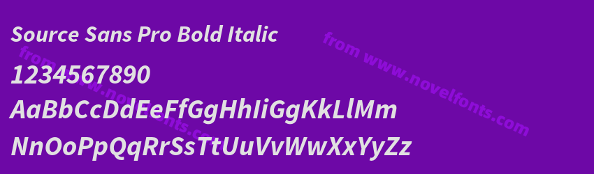 Source Sans Pro Bold ItalicPreview