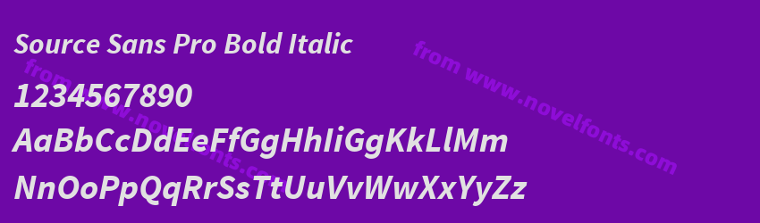 Source Sans Pro Bold ItalicPreview