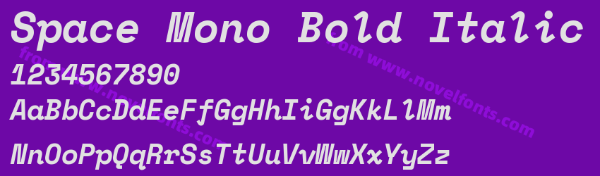 Space Mono Bold ItalicPreview