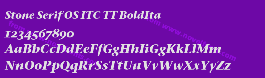 Stone Serif OS ITC TT BoldItaPreview