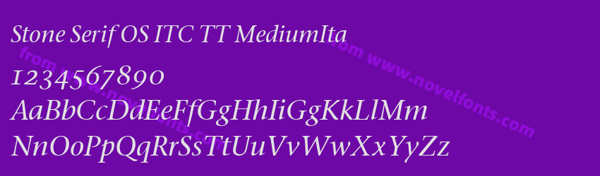 Stone Serif OS ITC TT MediumItaPreview