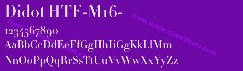 Didot HTF-M16-Preview