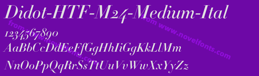 Didot-HTF-M24-Medium-ItalPreview