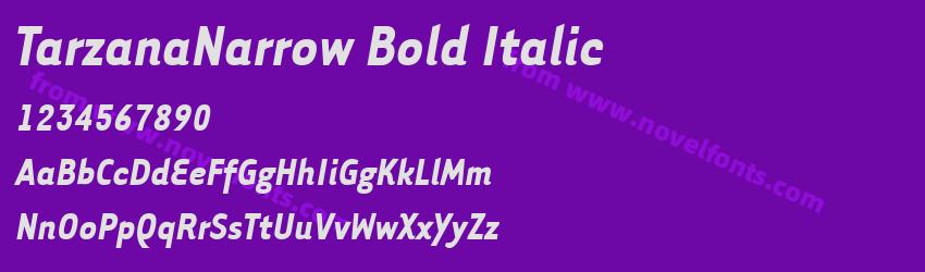 TarzanaNarrow Bold ItalicPreview