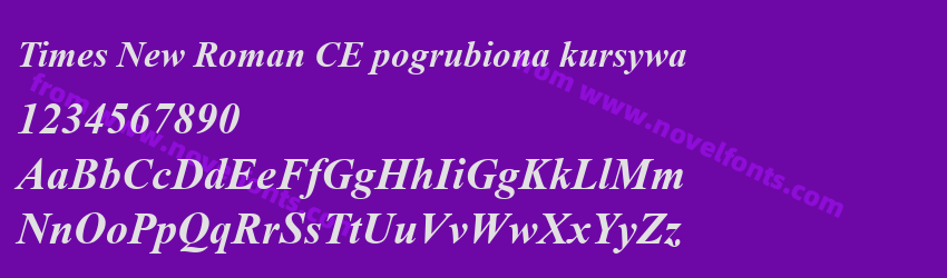 Times New Roman CE pogrubiona kursywaPreview