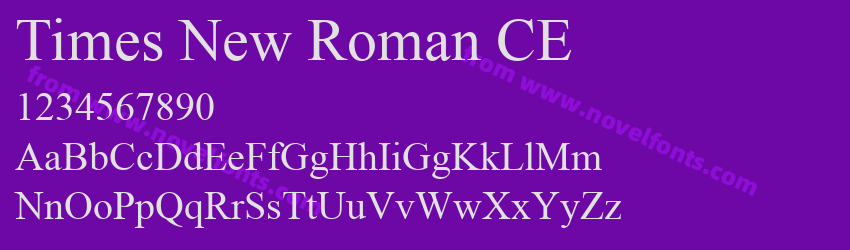 Times New Roman CEPreview