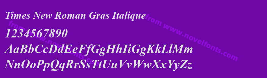 Times New Roman Gras ItaliquePreview