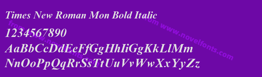 Times New Roman Mon Bold ItalicPreview