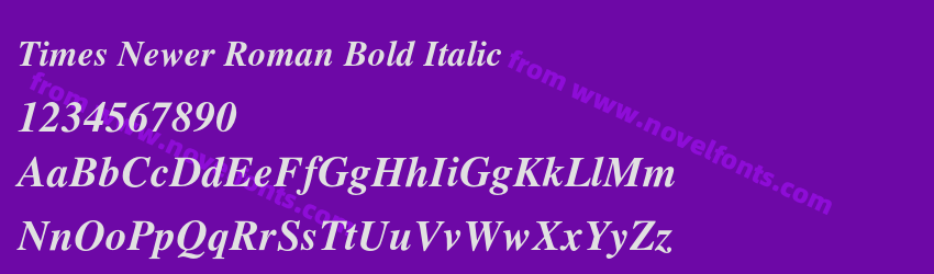 Times Newer Roman Bold ItalicPreview