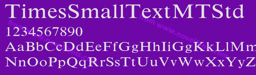 TimesSmallTextMTStdPreview