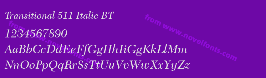 Transitional 511 Italic BTPreview