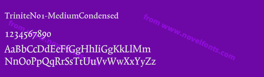 TriniteNo1-MediumCondensedPreview