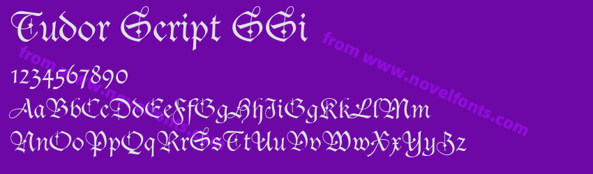 Tudor Script SSiPreview