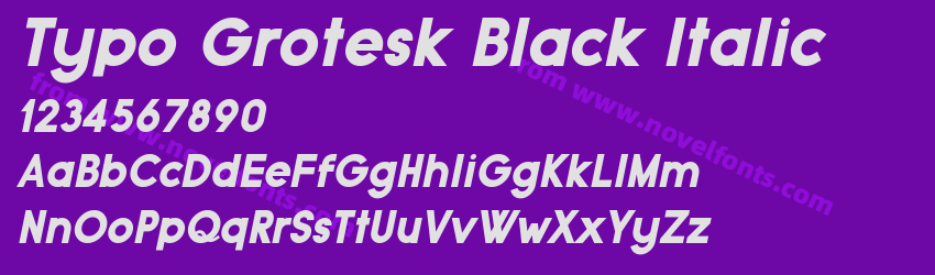 Typo Grotesk Black ItalicPreview