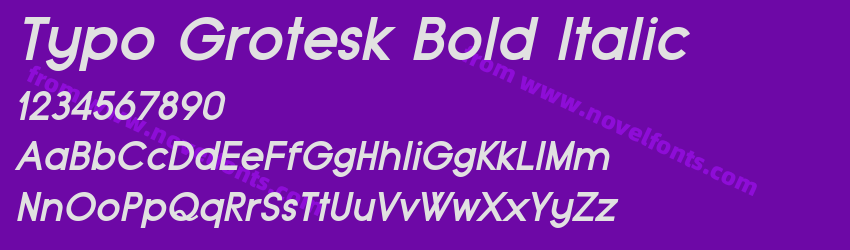 Typo Grotesk Bold ItalicPreview