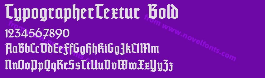 TypographerTextur BoldPreview