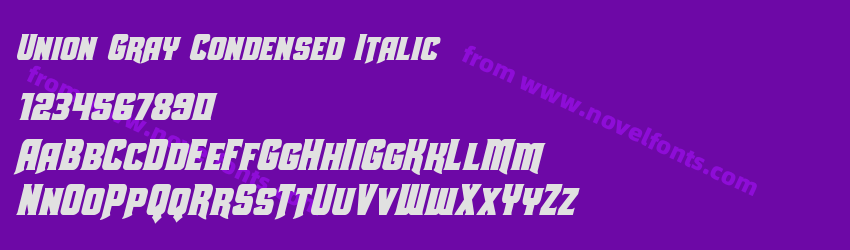 Union Gray Condensed ItalicPreview