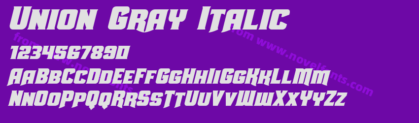 Union Gray ItalicPreview