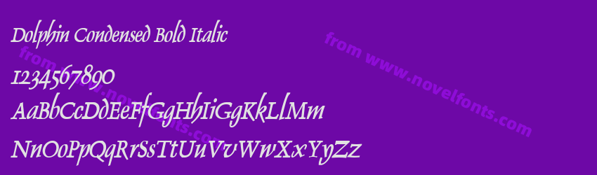 Dolphin Condensed Bold ItalicPreview