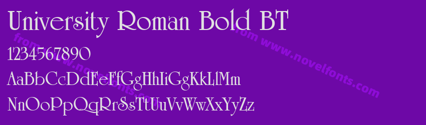 University Roman Bold BTPreview