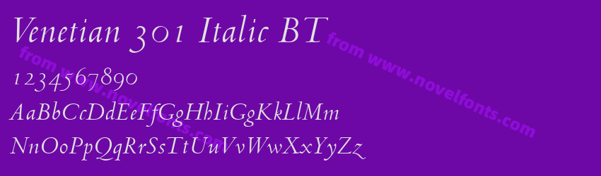 Venetian 301 Italic BTPreview