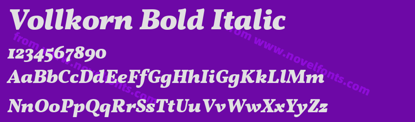 Vollkorn Bold ItalicPreview