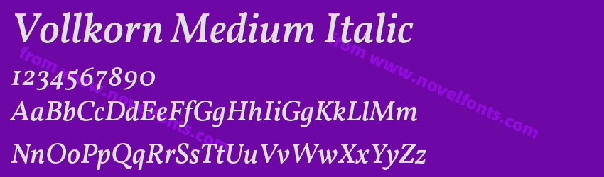 Vollkorn Medium ItalicPreview