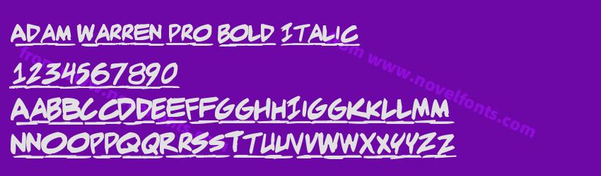 Adam Warren pro Bold ItalicPreview