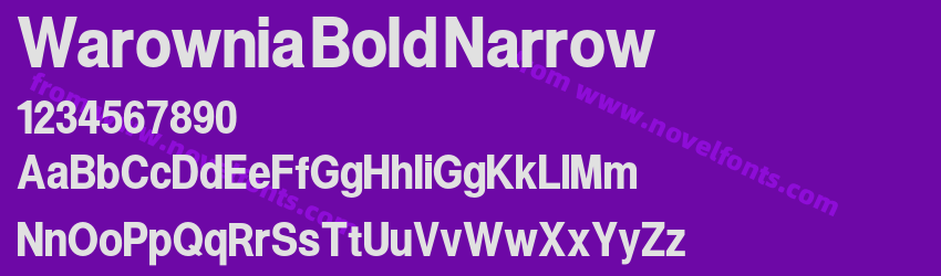 Warownia Bold NarrowPreview