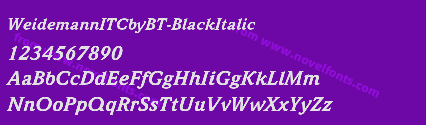 WeidemannITCbyBT-BlackItalicPreview