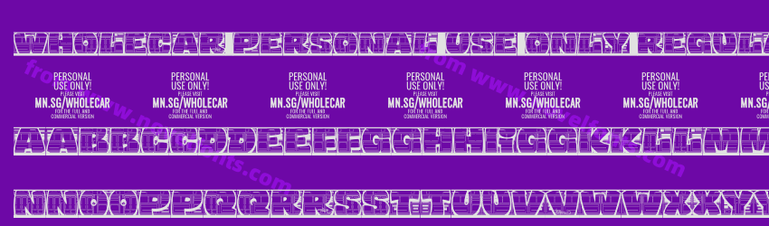 Wholecar PERSONAL USE ONLY RegularPreview