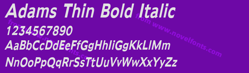 Adams Thin Bold ItalicPreview