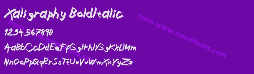 Xaligraphy BoldItalicPreview