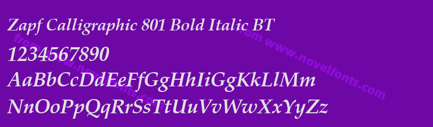 Zapf Calligraphic 801 Bold Italic BTPreview