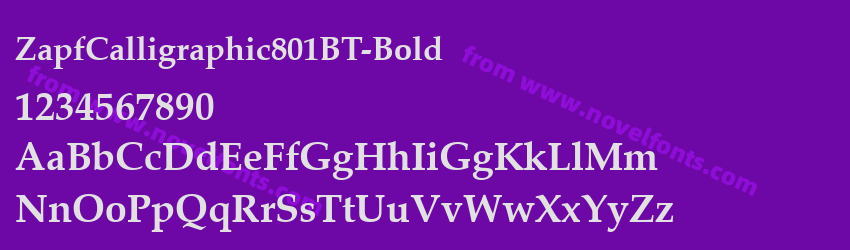 ZapfCalligraphic801BT-BoldPreview