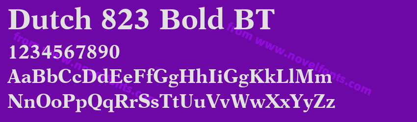 Dutch 823 Bold BTPreview