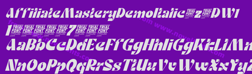 AffiliateMasteryDemoItalic-z8DW1Preview