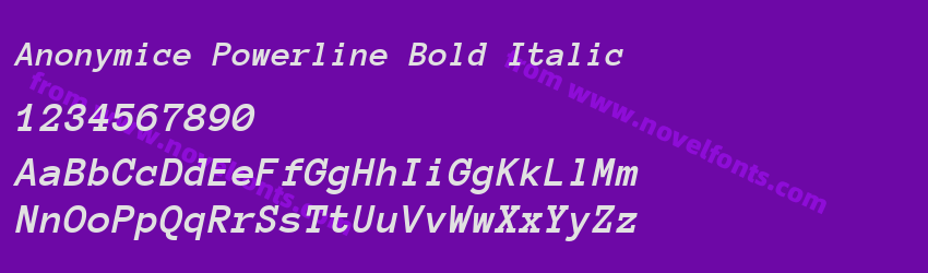 Anonymice Powerline Bold ItalicPreview