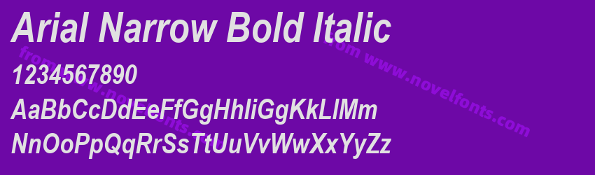 Arial Narrow Bold ItalicPreview