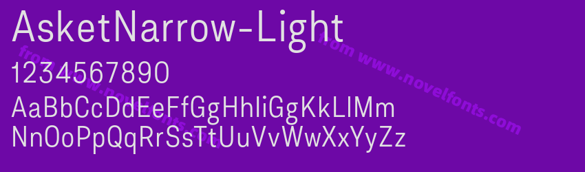 AsketNarrow-LightPreview