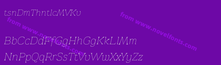 AtsaneeDemoThinItalic-MV4KvPreview