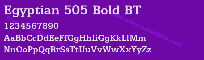 Egyptian 505 Bold BTPreview