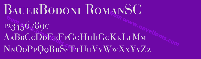 BauerBodoni RomanSCPreview