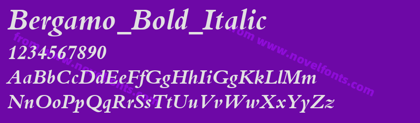 Bergamo_Bold_ItalicPreview