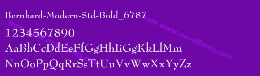 Bernhard-Modern-Std-Bold_6787Preview