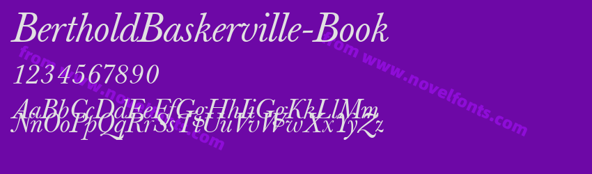 BertholdBaskerville-BookPreview