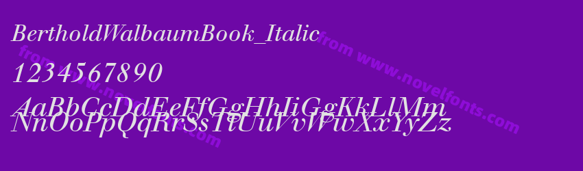 BertholdWalbaumBook_ItalicPreview