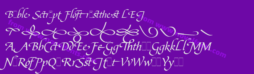 Bible Script Flourishes LETPreview