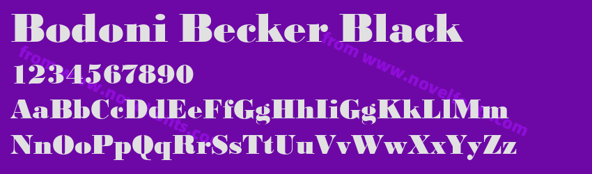 Bodoni Becker BlackPreview